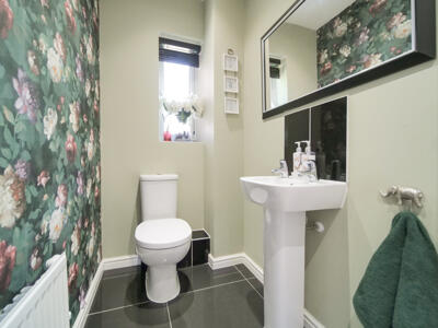 Picture 13